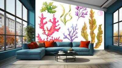 Set of algae, underwater plants in red, purple and green, hand-drawn watercolor illustration. Isolated on white background for your design. Wall mural