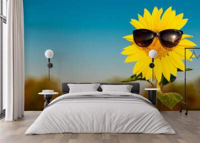 Summer background. Closeup sunflower wearing black sunglasses with blue sky background Wall mural