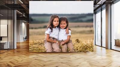 Two girls sitting on a bale of hay Wall mural