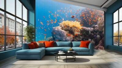 coral reef with tropical fish Wall mural