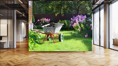 Wheelbarrow full of humus and compost on green lawn with well-groomed phlox flowers in private farmhouse. Seasonal work and fertilization in garden. Outdoor. Wall mural