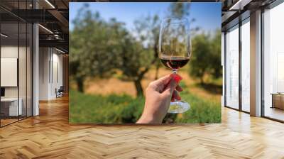 Woman s hand holding a glass of red Chianti wine at a vineyard in Tuscany, Italy Wall mural