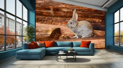 A cute gray rabbit sits near a log wall Wall mural