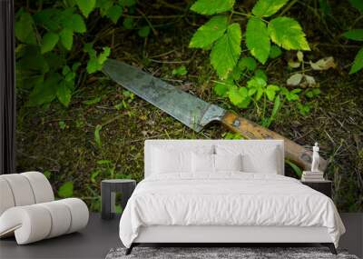 An old rusty knife is lying on the ground.The weapon of the crime was left in the grass. Find the evidence. Wall mural