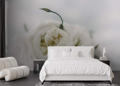 A bouquet of white flowers is sitting on a white surface. The flowers are arranged in a way that they are all facing the same direction, creating a sense of unity and harmony. Wall mural