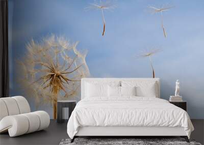 Dandelion Wall mural