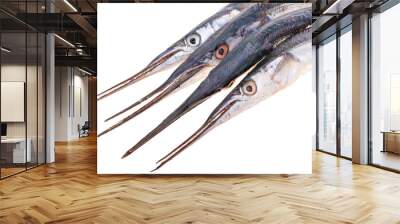 fresh fish on a white background Wall mural