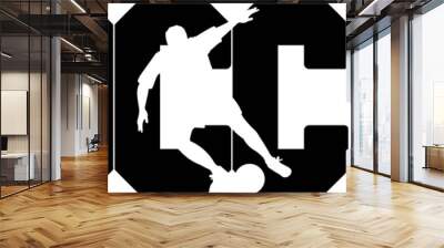 Soccer on the white background. Vector illustration Wall mural