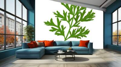 A sprig of a medicinal plant wormwood. Vector illustration isolated in cartoon style. Wall mural