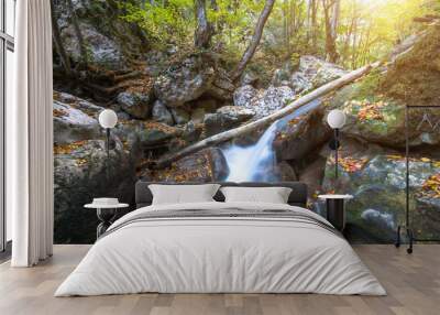 Beautiful river and fallen tree at the bottom of the canyon at sunset. Wall mural