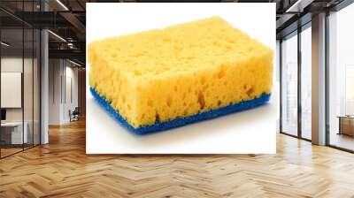 new and clean sponge for cleaning. isolated on white background Wall mural