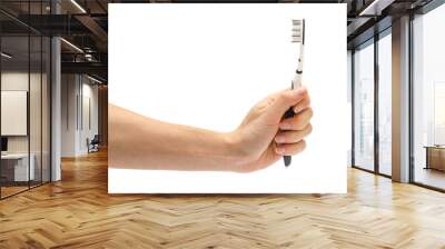 woman hand holding toothbrush. Wall mural