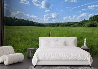 A narrow dirt trail leads through a grassy green field with blue skies and woods in the distance Wall mural