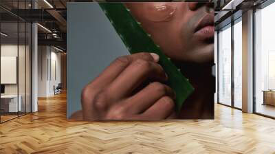 Closeup shot of handsome young african american man looking aside, holding fresh leaf of Aloe Vera while posing with gel applied on his cheek isolated over grey background Wall mural