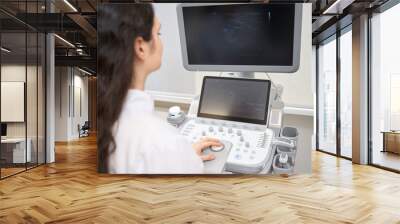 Female doctor working on equipment in the clinic Wall mural