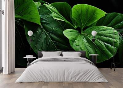 leaf that is green Wall mural