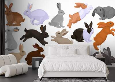 Rabbit vector cartoon set icon. Isolated cartoon set icon animal.Vector illustration rabbit on white background. Wall mural