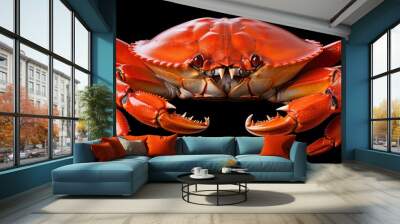 Scylla serrata. Mud crab isolated on transparent background. Raw materials for seafood restaurant concept. Live giant mud crab with big claw. Alive mud crab. Wall mural