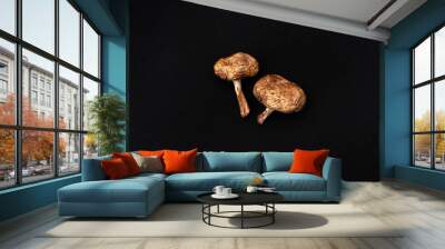 top view of two dried mushroom on a black background with place for text, forest cuisine Wall mural