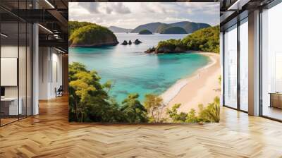 Trunk Bay, St. John, United State Virgin Islands Wall mural