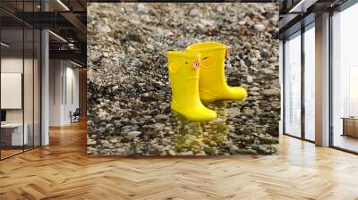 Two yellow children's gumboots (rubber boots) stand in the water on the rocks on the shore of a mountain lake. Wall mural