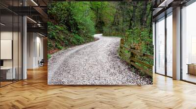 Road to the winter and touristic station Poiana Brasov, 12 km from Brasov, a town situated in Transylvania, Romania, in the center of the country. 300.000 inhabitants Wall mural