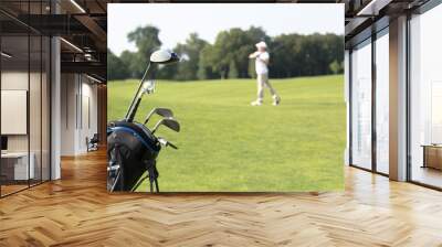 golf clubs Wall mural