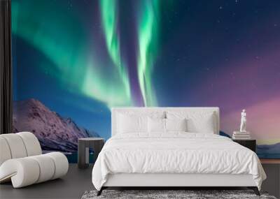 The sky is filled with auroras and the mountains are covered in snow. The scene is serene and peaceful, with the bright lights of the auroras reflecting off the water Wall mural