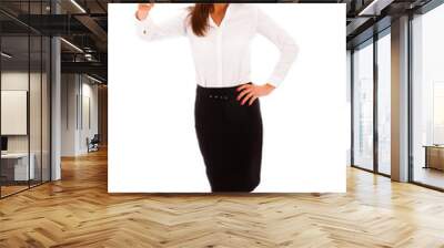 business woman Wall mural