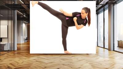 Karate Kick Wall mural