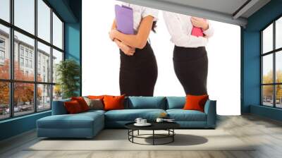 two business women Wall mural