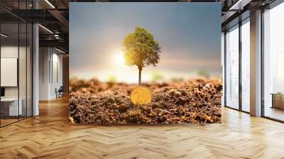 Coin & tree sprout in soil Wall mural