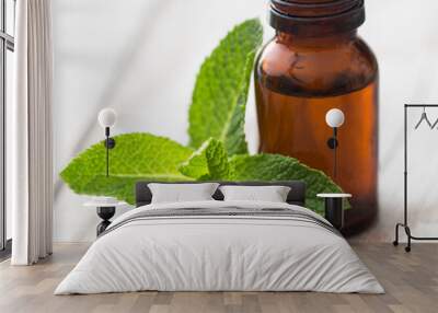 Mint leaves with essential oil Wall mural