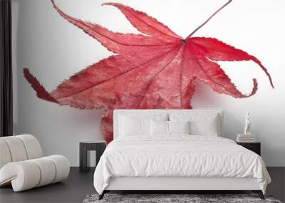 Red fall leaf Wall mural