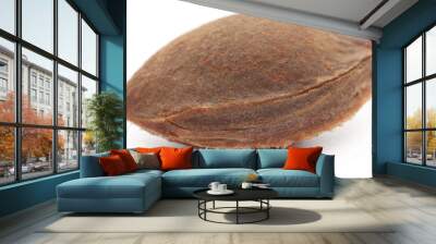 Seed of apricot Wall mural