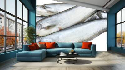 South Asian Boal fishes Wall mural