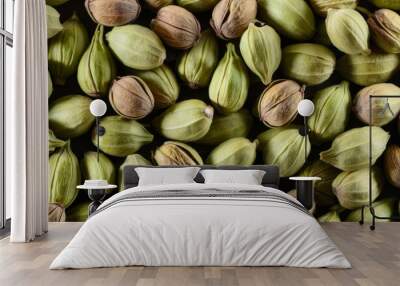  A closeup of fresh unpeeled almonds in their natural state Wall mural