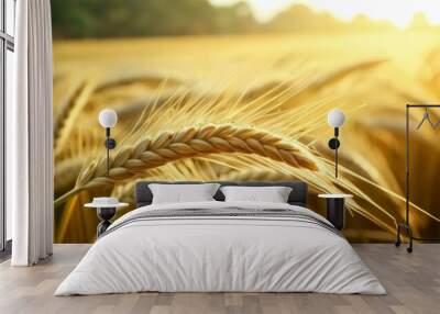  Bountiful harvest under the suns glow Wall mural