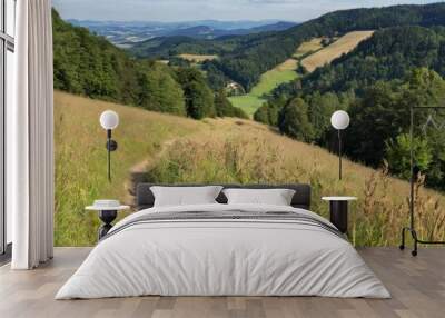  Exploring the serene countryside on a sunny day Wall mural