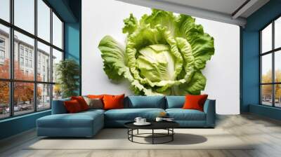  Fresh and vibrant green lettuce Wall mural