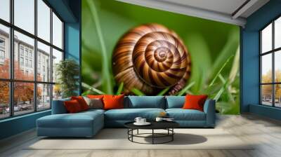  Natures intricate design  A snails spiral shell in the grass Wall mural