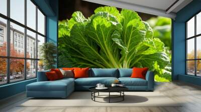  Vibrant green leafy vegetable closeup Wall mural