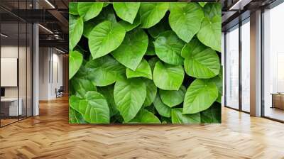  Vibrant green leaves a symbol of natures vitality Wall mural