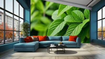  Vibrant green leaves in closeup perfect for naturethemed content Wall mural