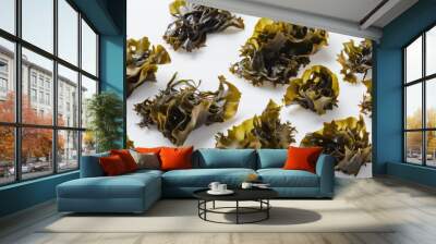  Vibrant seaweed a natural delicacy Wall mural