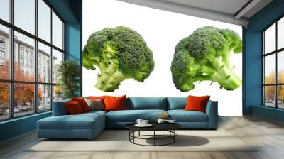 Large Inflorescence of Green Broccoli. Raw Green Food Set. Isolated on Background Wall mural