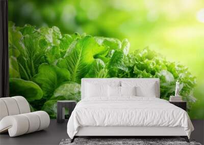 Fresh green lettuce with vibrant leaves, natural lighting, blurred background. Wall mural