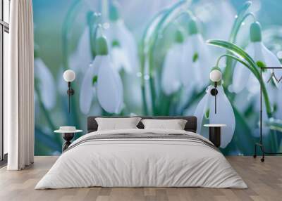 Easter background with snowdrops on bokeh background in sunny spring garden Wall mural