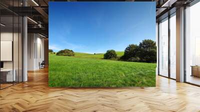 Green spring field with trees and blue sky. Wall mural