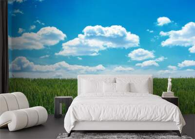 Green wheat field and blue sky. Wall mural